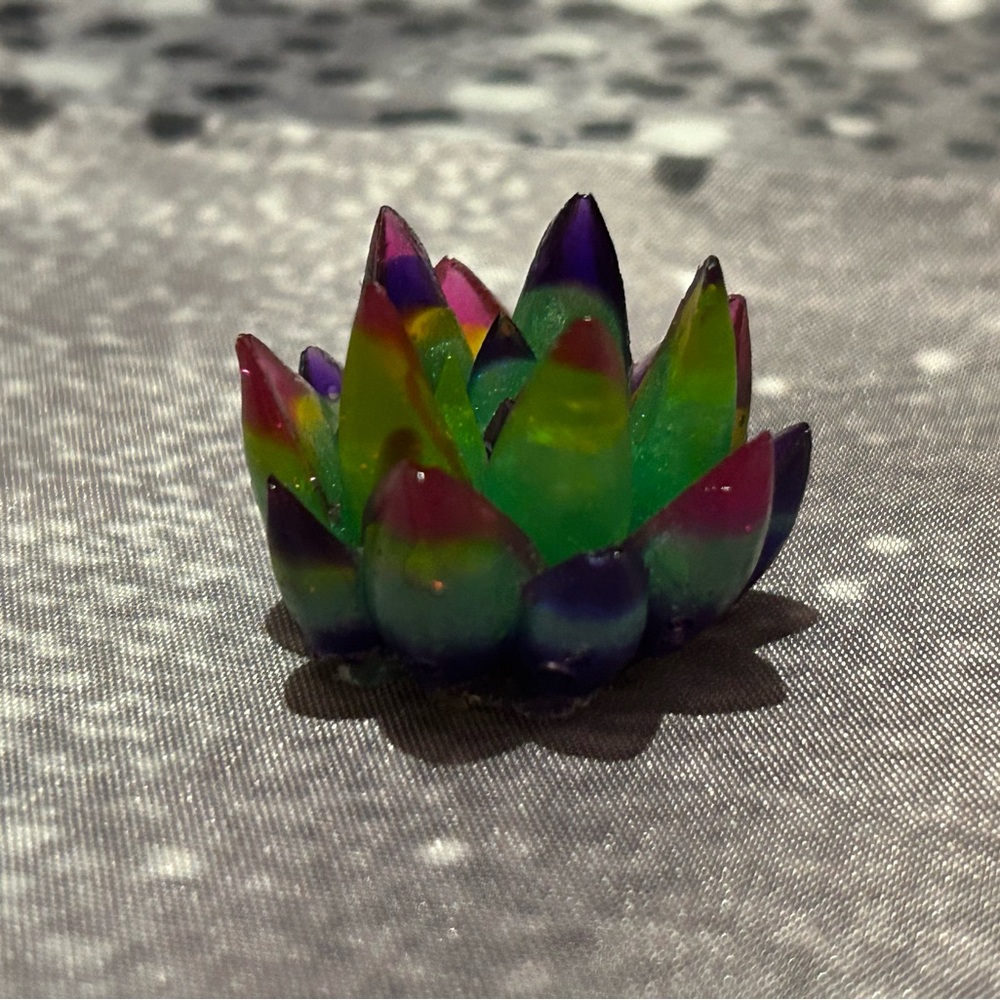 Colorful Succulent Art Piece